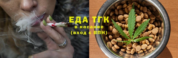 индика Богданович