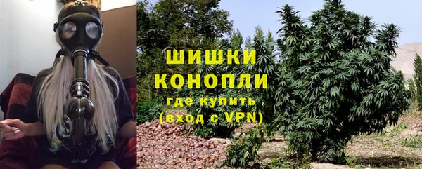 индика Богданович