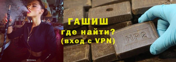 индика Богданович