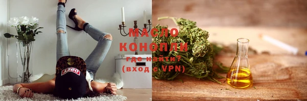индика Богданович