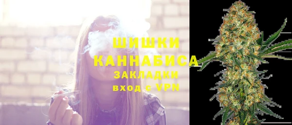 индика Богданович