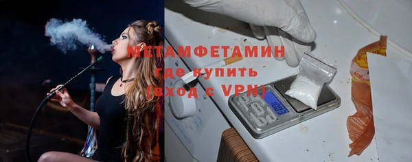 индика Богданович