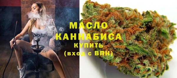 индика Богданович