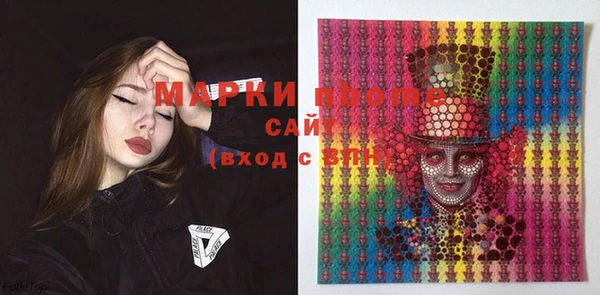 индика Богданович