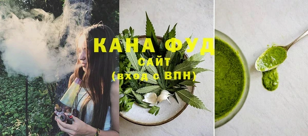 индика Богданович
