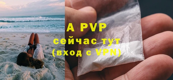 индика Богданович