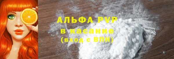 индика Богданович