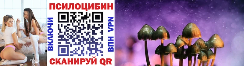ссылка на мегу ТОР  Михайлов  Галлюциногенные грибы прущие грибы 