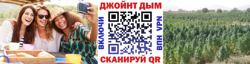 МАРИХУАНА конопля  как найти закладки  Михайлов 
